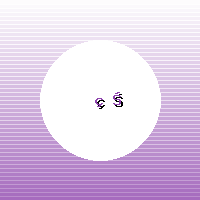 焦作大学