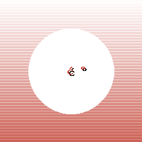新乡卫生学校