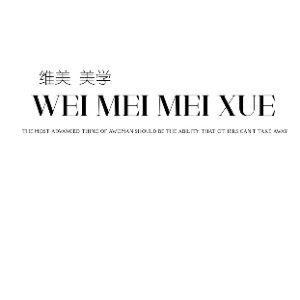 上海维美半永久纹绣美甲美睫培训