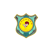 佛山林轩跆拳道培训中心