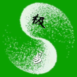 刘朝龙极易针灸培训