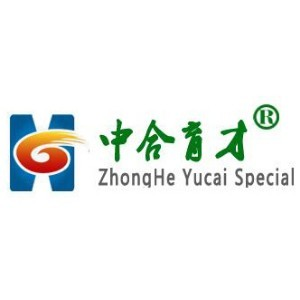 北京中合育才特训营