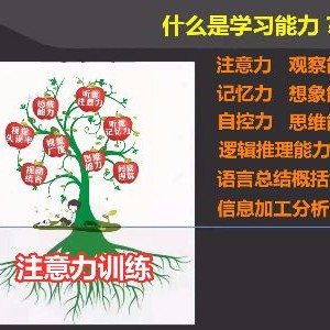 南京金色雨林能优教育