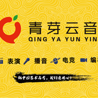 南京青芽云音传媒艺考培训学校