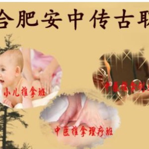 合肥安中传古职业培训学校