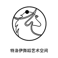 合肥特洛伊舞蹈艺术空间