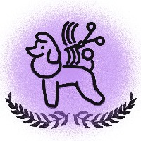 大连昕宠宠物美容研修中心