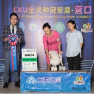 大连美毅宠物美容