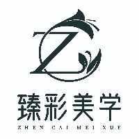 天津臻彩美学教育