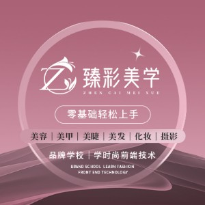 天津臻彩美学