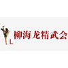 广州柳海龙精武会