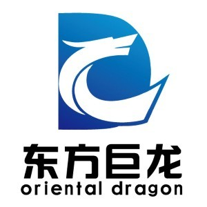 武汉东方巨龙教育