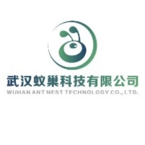 武汉蚁巢科技