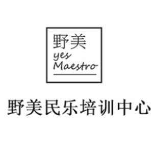 武汉野美民乐培训