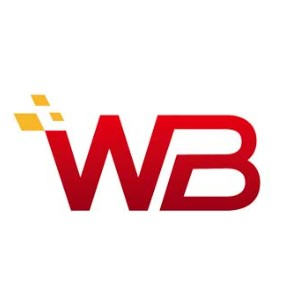 河北微宝云信息技术