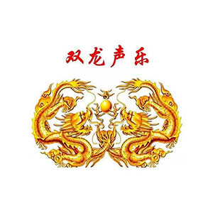 河南省双龙声乐艺术中心