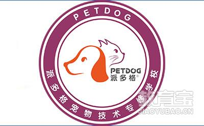 派多格宠物技术培训