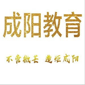 济南成阳升学规划