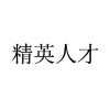深圳布吉精英人才电脑培训