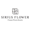 深圳SiriusFlower怦然花舍