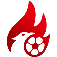 湖南硕果体育单招soccer