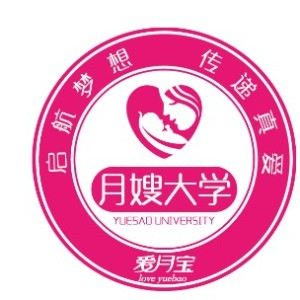衡水爱月宝