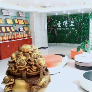 西安圣得兰东尼化妆美发培训