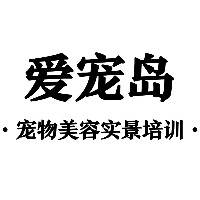 西安爱宠岛宠物美容实景培训中心