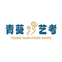 辽宁青葵舞蹈艺考机构