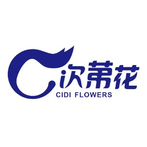 重庆次第花艺术培训