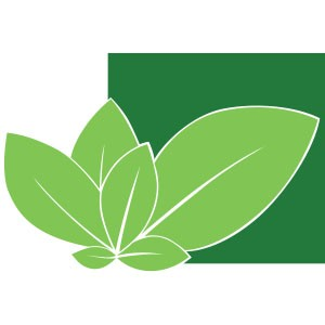 银川市五彩石职业技能培训学校