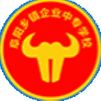 阜阳乡镇企业中专学校