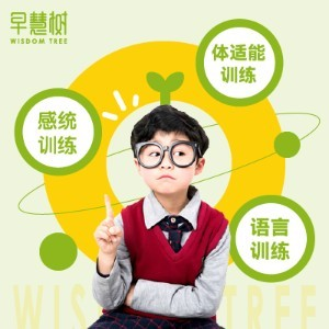 青岛早慧树儿童感统体能训练中心