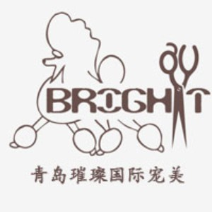 青岛璀璨宠物美容师培训