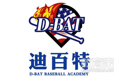 D-BAT迪百特棒球培训