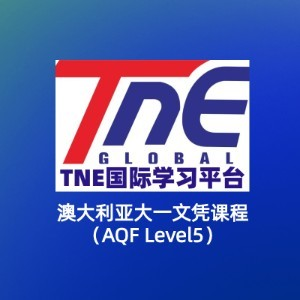 TNE跨境教育