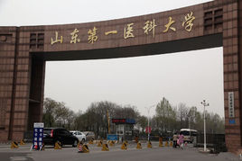 泰山医学院