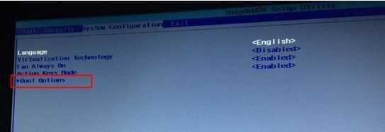 进入BIOS中设置Boot Options