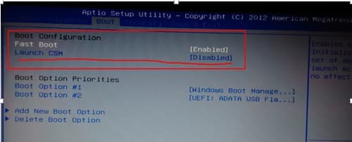 设置launch csm为enabled