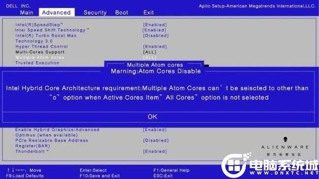 Multiple Atom cores 选项