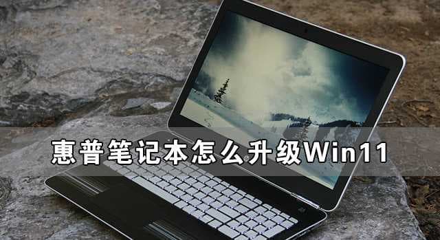 惠普笔记本怎么升级win11