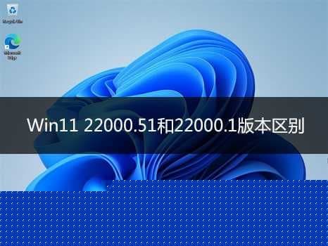 Win1122000.51和22000区别分析