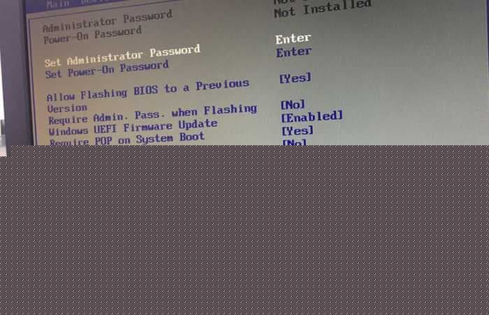 进入安全启动选项