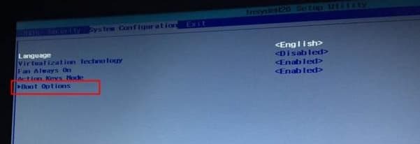进入BIOS中boot options设置